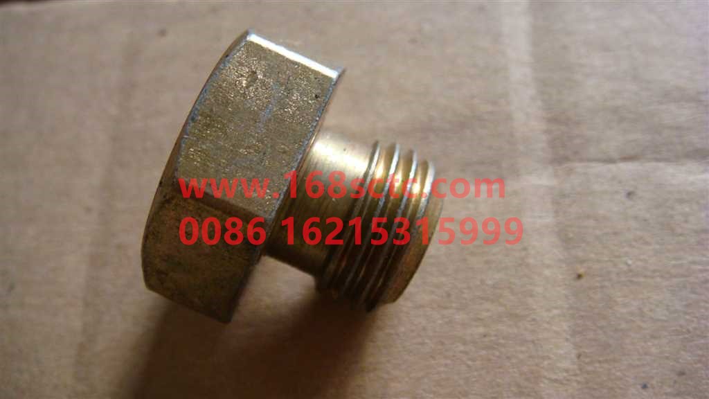 Q617B14-OTHERS-Hexagon plug M14-LiuJiaoTouLuoMu