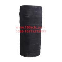 JAC1109014Z461W0498