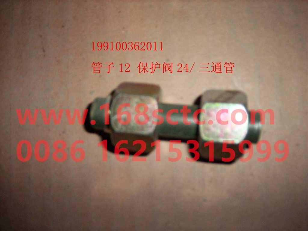 199100362013