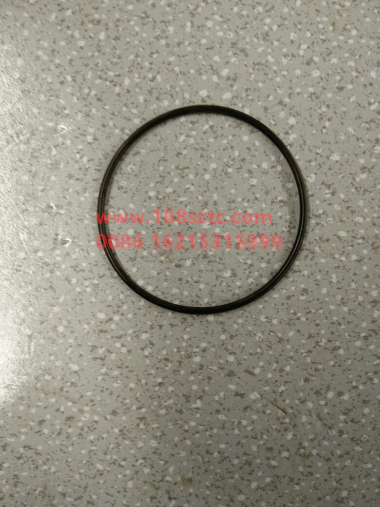 WG9003077100-SINOTRUK HOWO-oRing-HaoWo2013Kuan