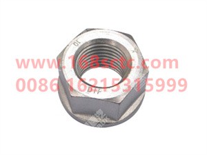 ZQ32730T13F3-OTHERS-Flange nut M30x3-LiuJiaoTouLuoMu