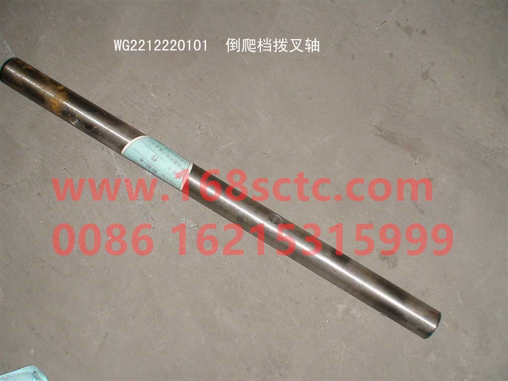 WG2212220101
