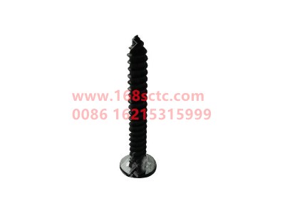 MQ6W07229-0003-OTHERS-Hexagon socket head self-tapping screws-ZiGongLuoShuan