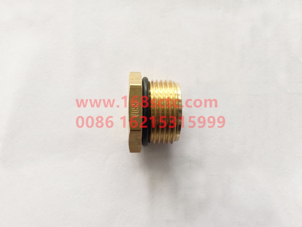 DZ97259366115-SHACMAN-Hex socket-DeLongX3000 2013Kuan