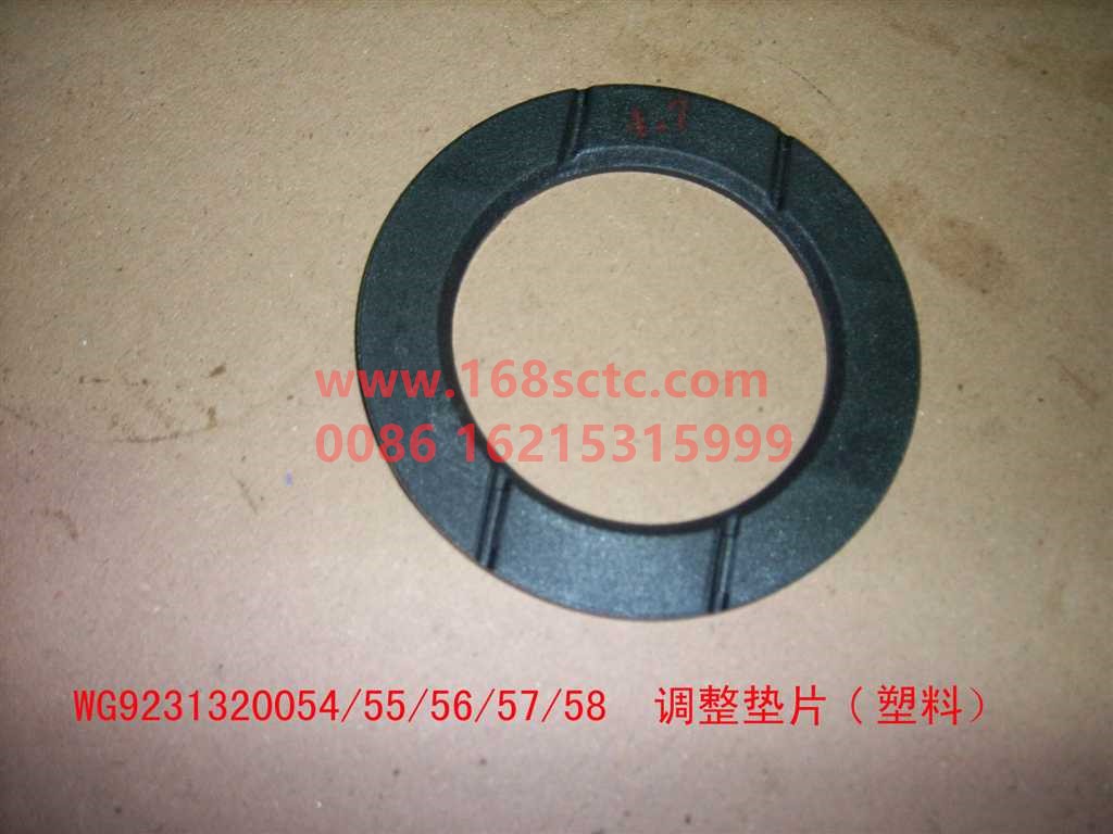 WG9231320054