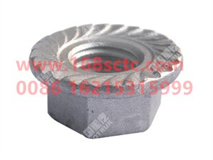 ZQ32410T13F6-OTHERS-Hexagon flange face bearing toothed nut M10x1.25-LiuJiaoTouLuoMu