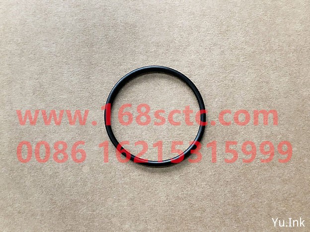 81.96501.0671-OTHERS-sealing ring-HanDeSTRQuDongQianQiao