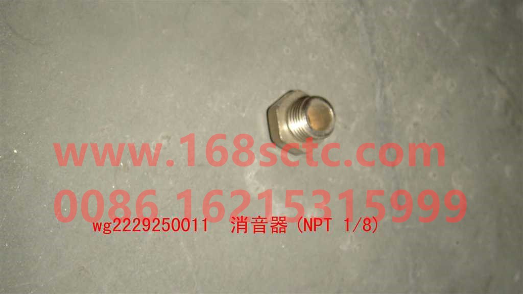 WG2229250011-SINOTRUK HOWO-silencer-ZhongQiBianSuXiangHW14710