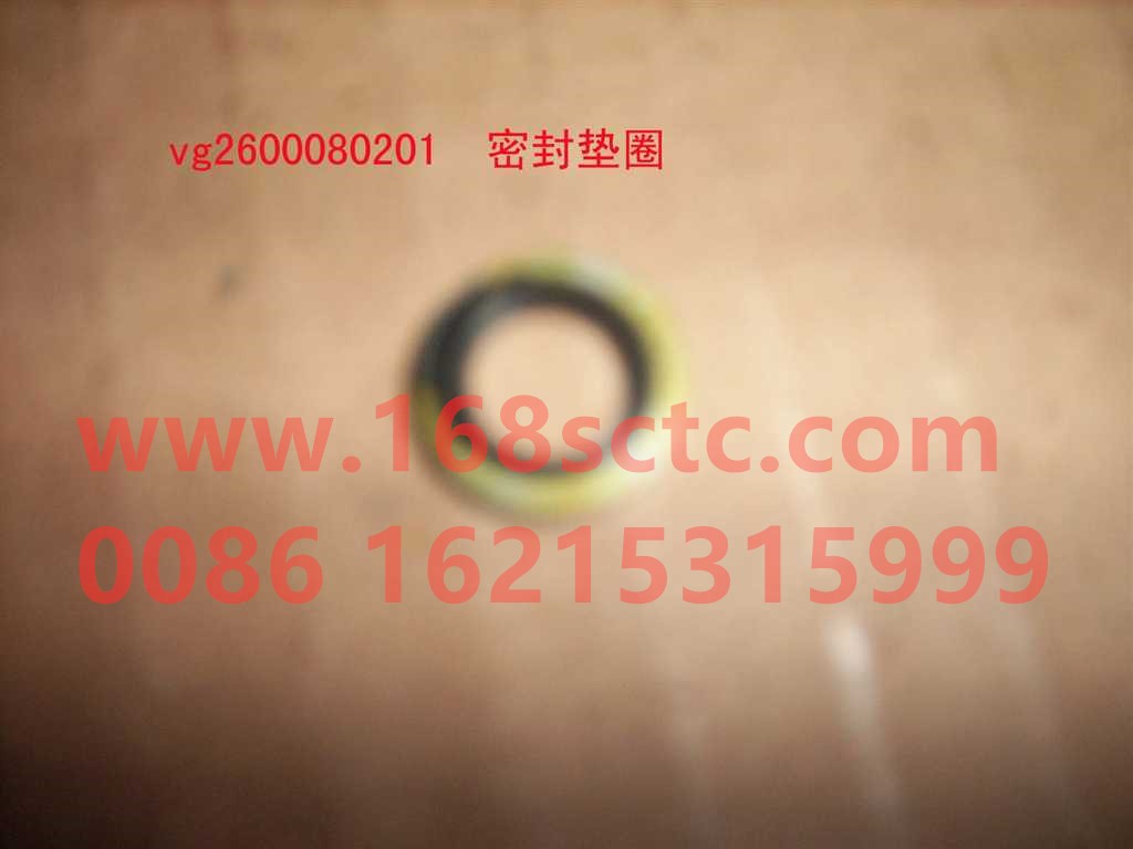 VG2600080201-SINOTRUK HOWO-Gasket-ZhongQiFaDongJiWT615.95