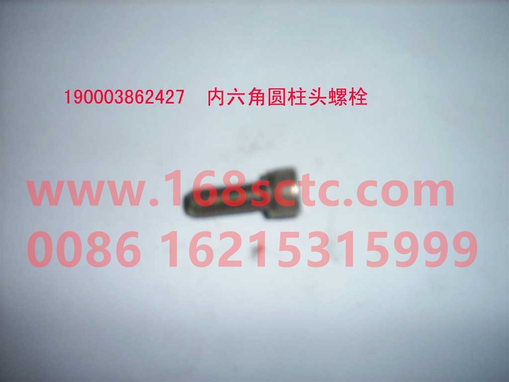 190003862428
