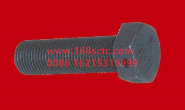 Q171B1655TF2-OTHERS-Hex head bolt with hole M16x55-LiuJiaoTouLuoShuan