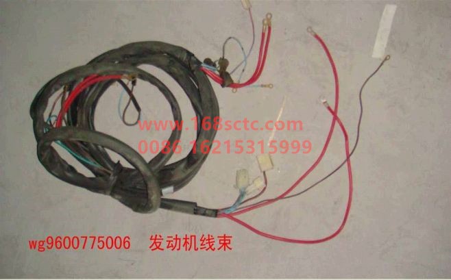 AZ9600775006-SINOTRUK HOWO-Engine wiring harness-HaoWo2007Kuan