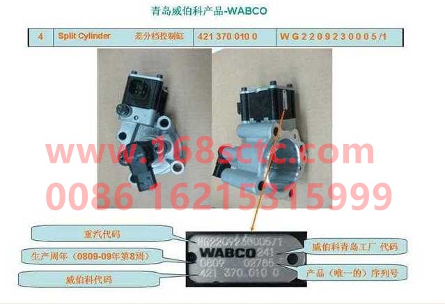 WG2209230005-SINOTRUK HOWO-Insert split cylinder assembly-ZhongQiBianSuXiangHW20716