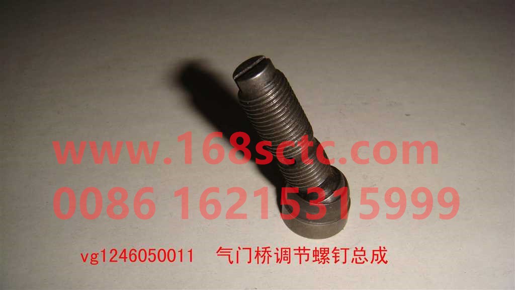 VG1246050011-SINOTRUK HOWO-Valve adjustment screw assembly M10x30-ZhongQiFaDongJiWD615.96NE
