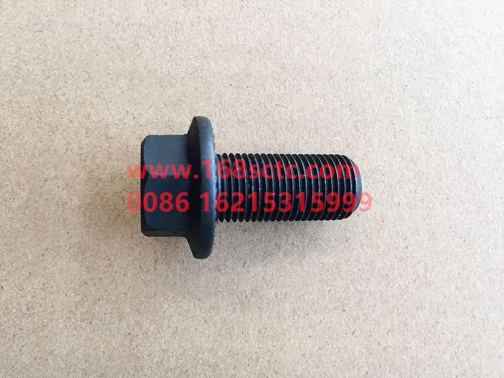 Q1811635TF2-SHACMAN-bolt-AoLong2007Kuan