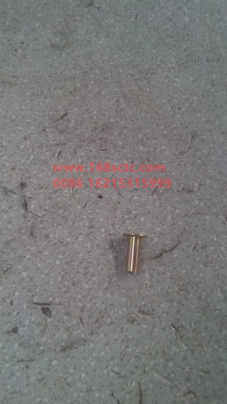 DZ90004400001-OTHERS-Brake rivet hollow 8x22 color galvanized-HanDeMANQiao