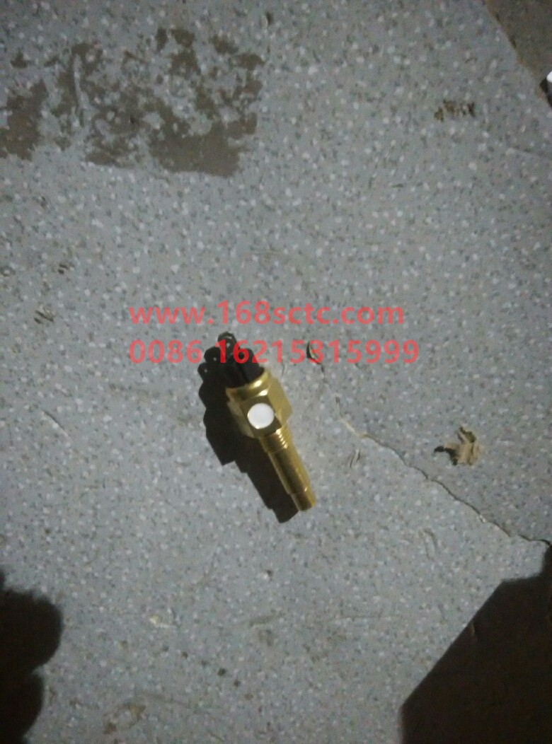 VG14090067J-SINOTRUK HOWO-water temperature sensor-ZhongQiFaDongJiWD615.87