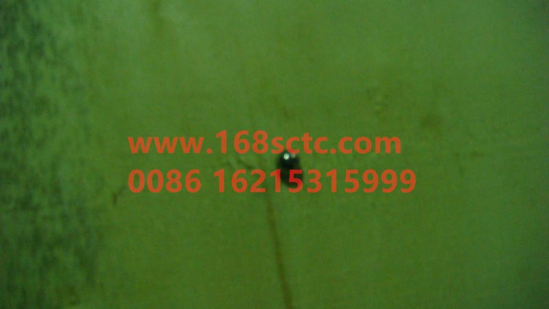 AZ9003338000-SINOTRUK HOWO-Steel ball 8.000G200b GB308-ZhongQiBianSuXiangShiErDang