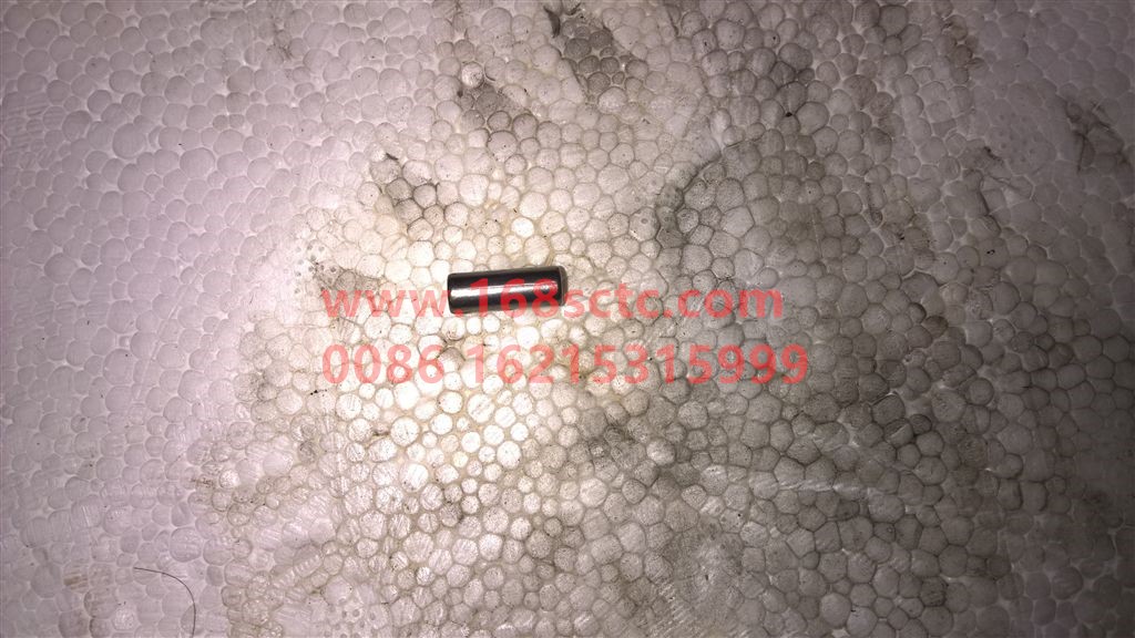 WG9003343178-OTHERS-Needle roller P3x17.8GB309-BianSuXiangZhouCheng