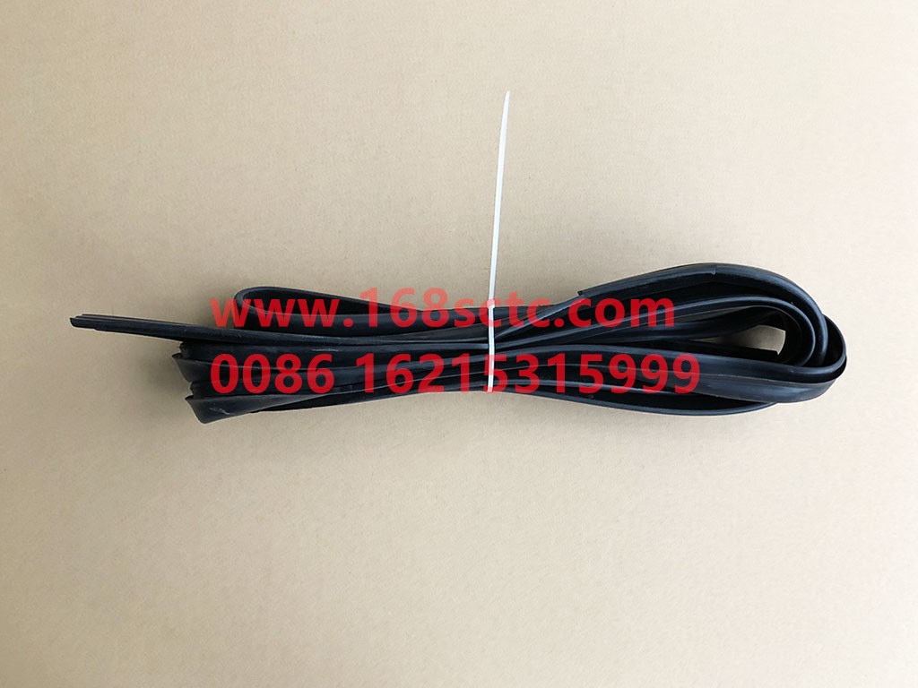 DZ14251330027-SHACMAN-Door glass mud channel left-DeLongX3000 2013Kuan