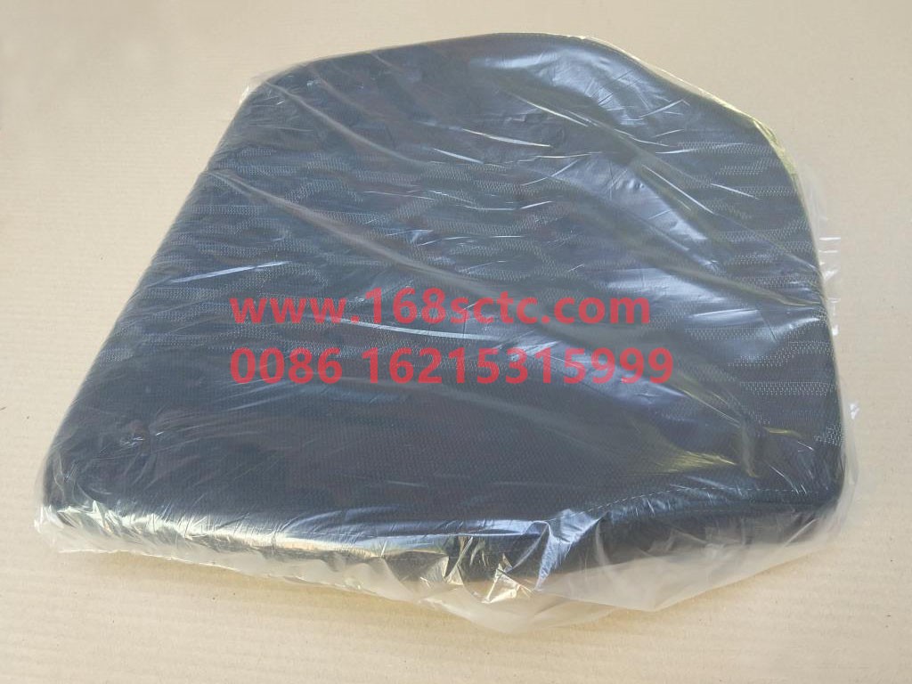 HT941819-01E-SHACMAN-seat cushion assembly-DeLongXinM3000 2013Kuan