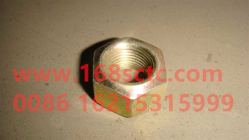 Self-locking nut VM22*1.5D009808ZN
