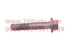 ZQ1841055TF6-OTHERS-Hex flange bolt M10x55-LiuJiaoTouLuoShuan