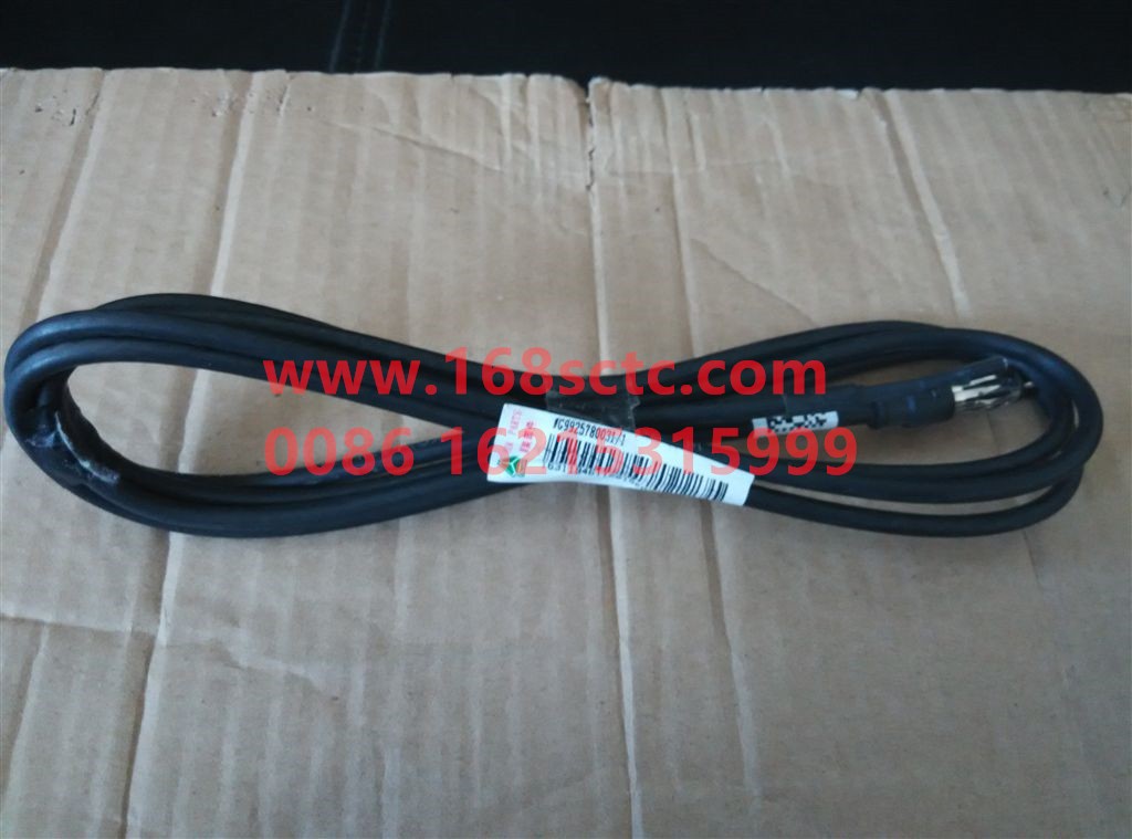 WG9925780031