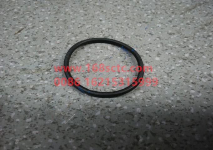 0634 313 505-GEARBOX- O-ring GP valve-QiJiangBianSuXiang5S-111GP