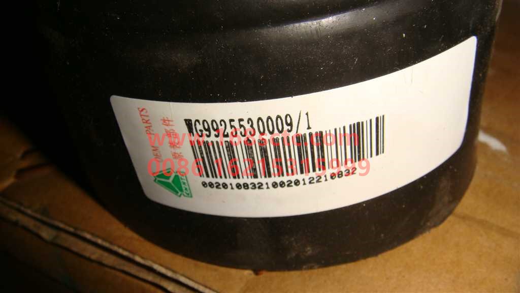 WG9925530009-SINOTRUK HOWO-Water tank downpipe Howo A7-HaoWoT7HKuan