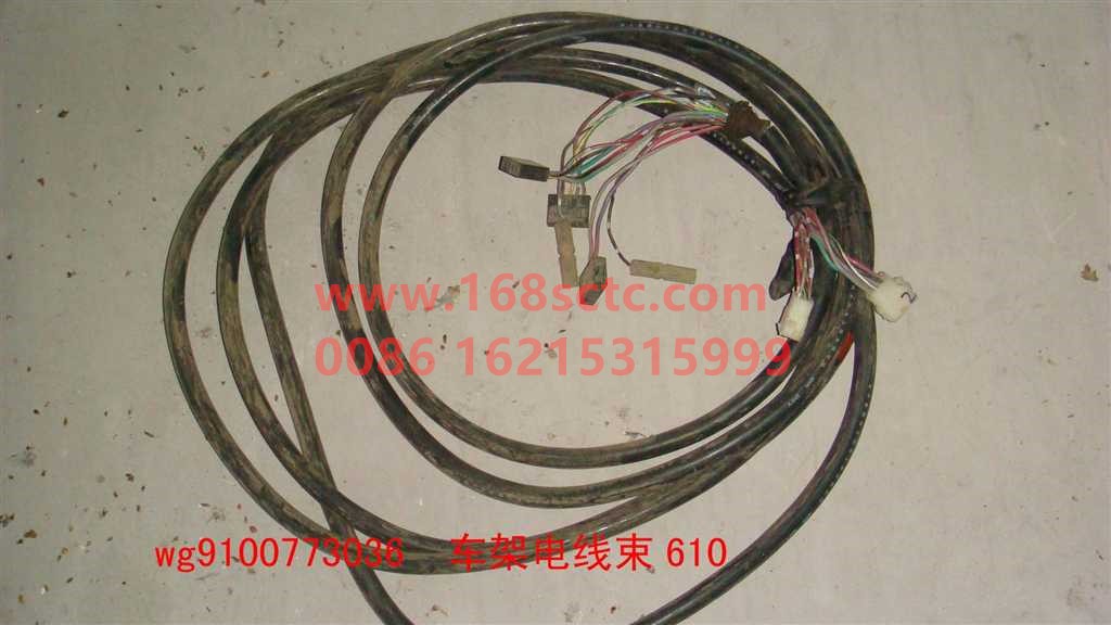 WG9100773036