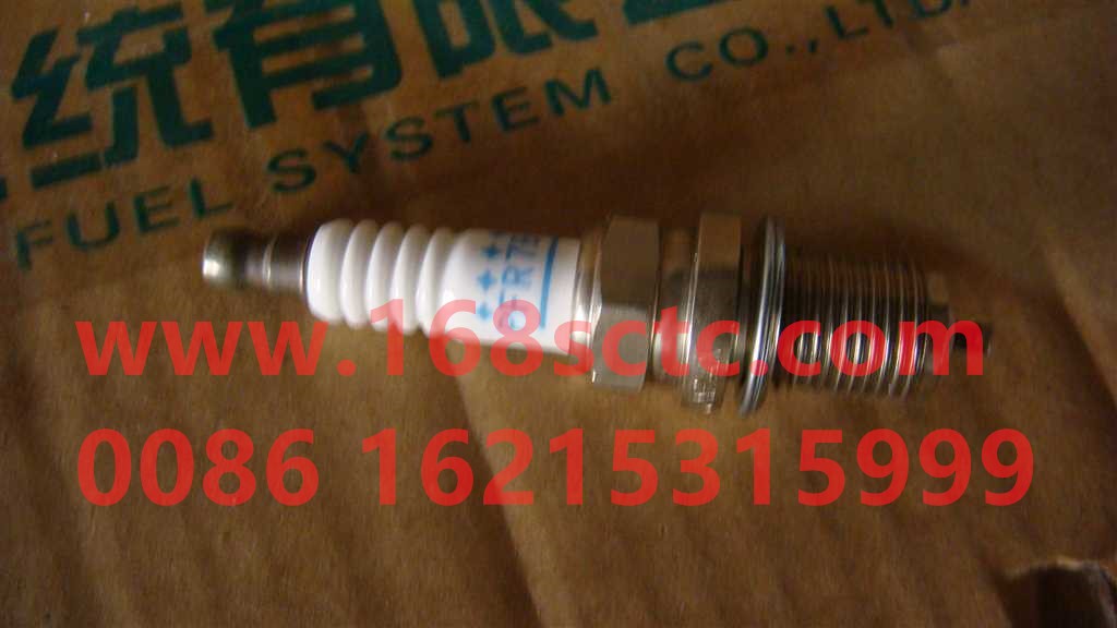 VG1560080701-SINOTRUK HOWO-Spark plug double iridium-ZhongQiFaDongJiT10.32-40