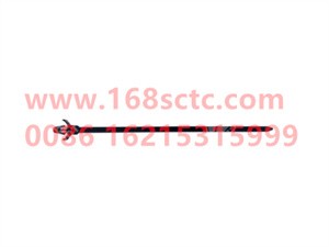WG9925770500-SINOTRUK HOWO-Plastic fastening strap can be fixed-HaoWoT7HKuan