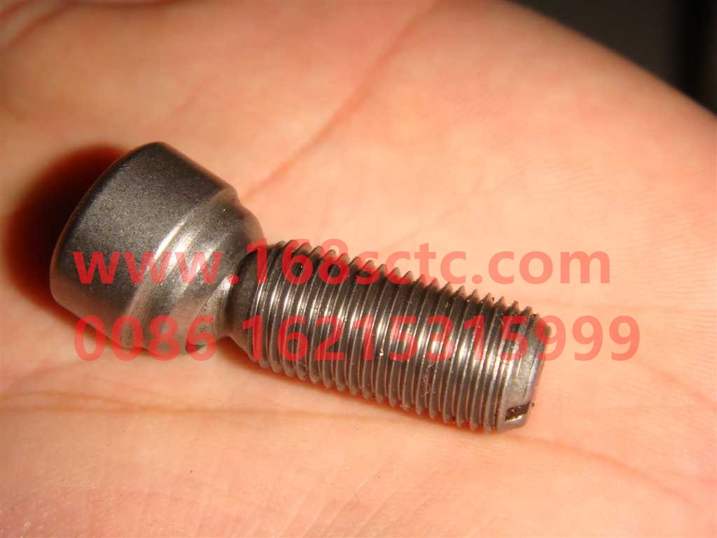 VG1500050011-SINOTRUK HOWO-Adjusting screw assembly-ZhongQiFaDongJiWD615.97NE