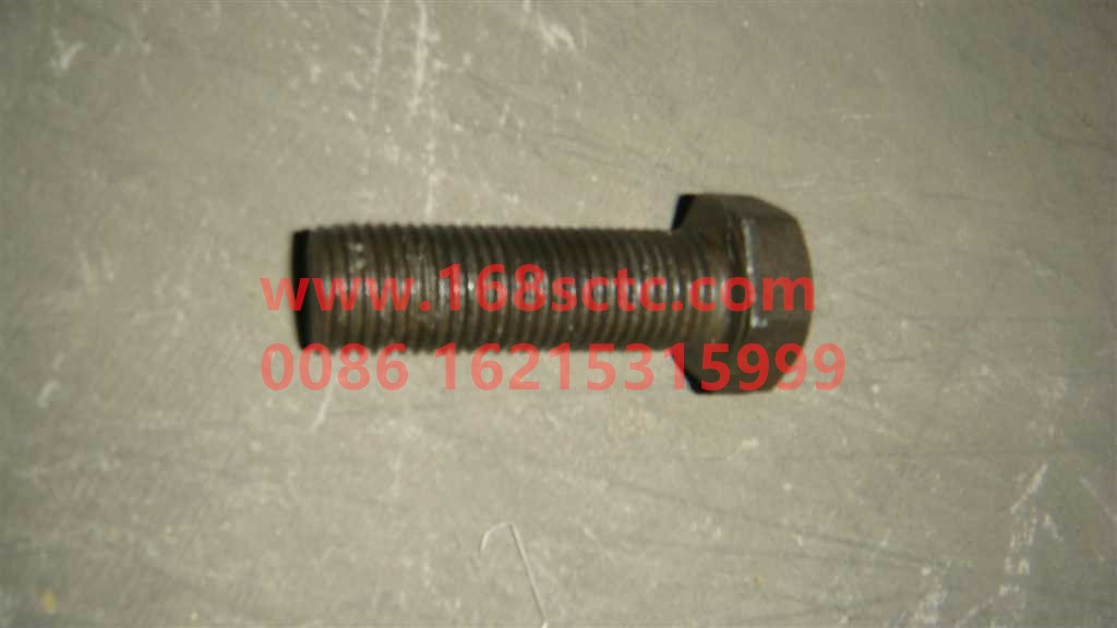 WG9981320013-SINOTRUK HOWO-Hexagon flange face bearing toothed bolts-ZhongQiHouQiaoAC16
