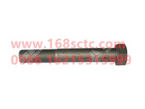 ZQ151B16110TF6-OTHERS-Outer hex bolt M16x1.5x110-LiuJiaoTouLuoShuan