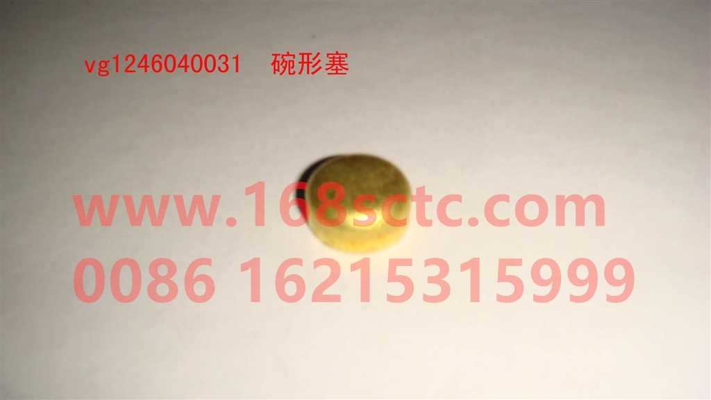 VG1246040031-SINOTRUK HOWO-Bowl plug Φ17 full copper-ZhongQiFaDongJiT12.42-50