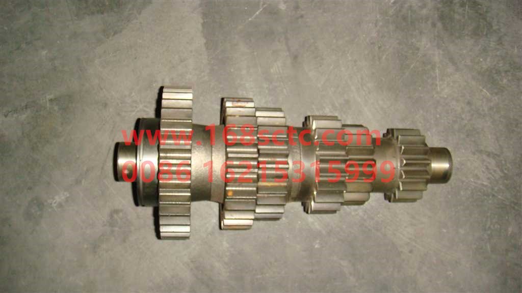 AZ2203030205-SINOTRUK HOWO-countershaft assemblyLeft 10files-ZhongQiBianSuXiangHW19710
