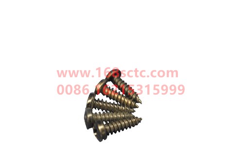 Q2714216-SINOTRUK HOWO-Cross recessed pan head tapping screw type C ST4.2x16 galvanized passivation-ShanDeKaC5H