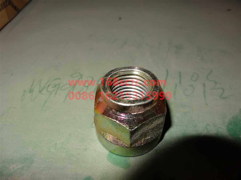 WG9750520269-OTHERS-Hex nut with shoulder self-locking-KuangShanWang50