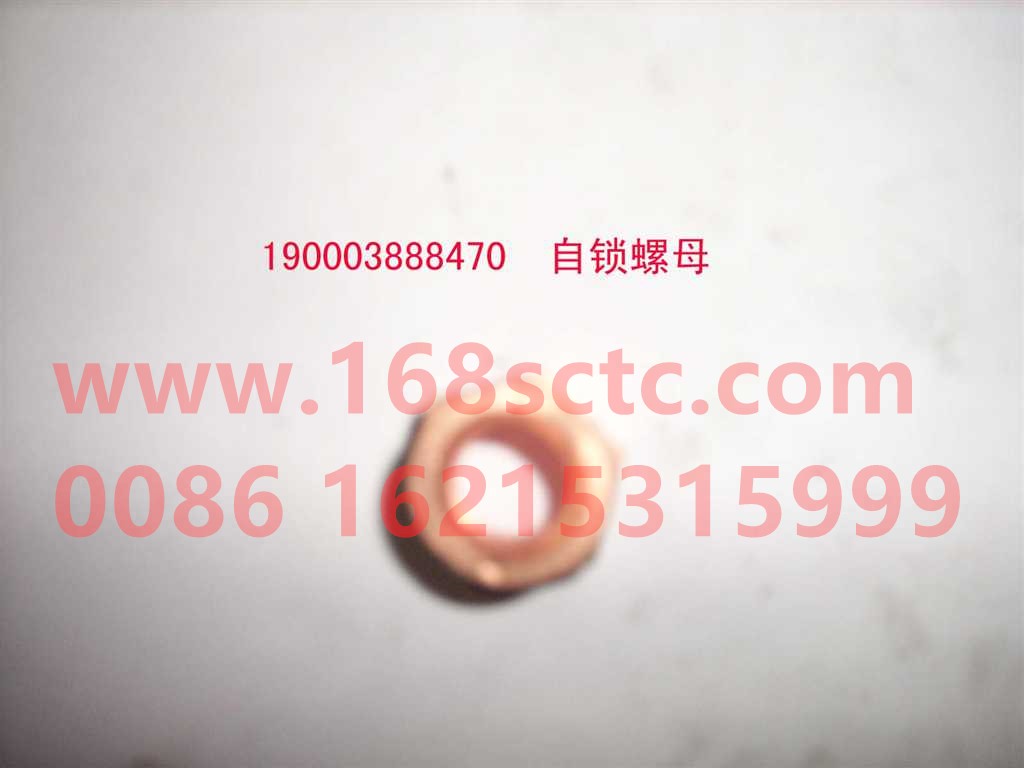 190003888479