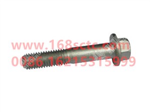 ZQ1841065TF6-OTHERS-Hex flange bolt M10x65-LiuJiaoTouLuoShuan
