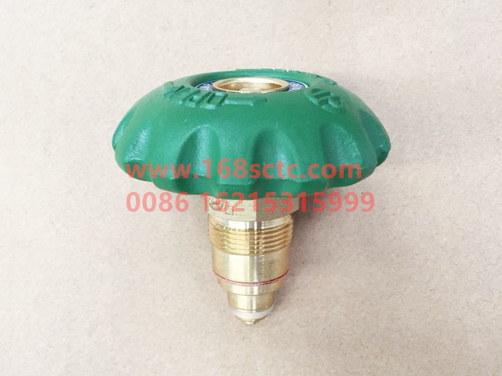 DZ96259560636-G-SHACMAN-Short stem globe valve spool (domestic) DS10190044-DeLongF3000 2015Kuan