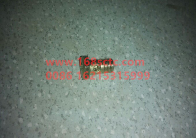 Hollow bolt A4D07623-6SZN
