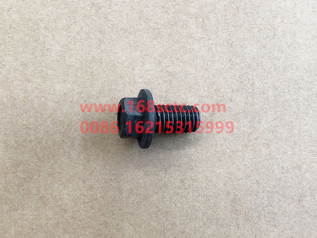 Q184A1018TF2-OTHERS-Hex flange bolt M10x18-HanDeHouQiaoSTR