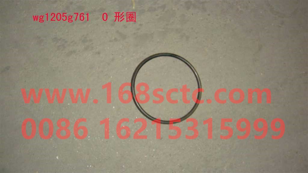 WG1205G761