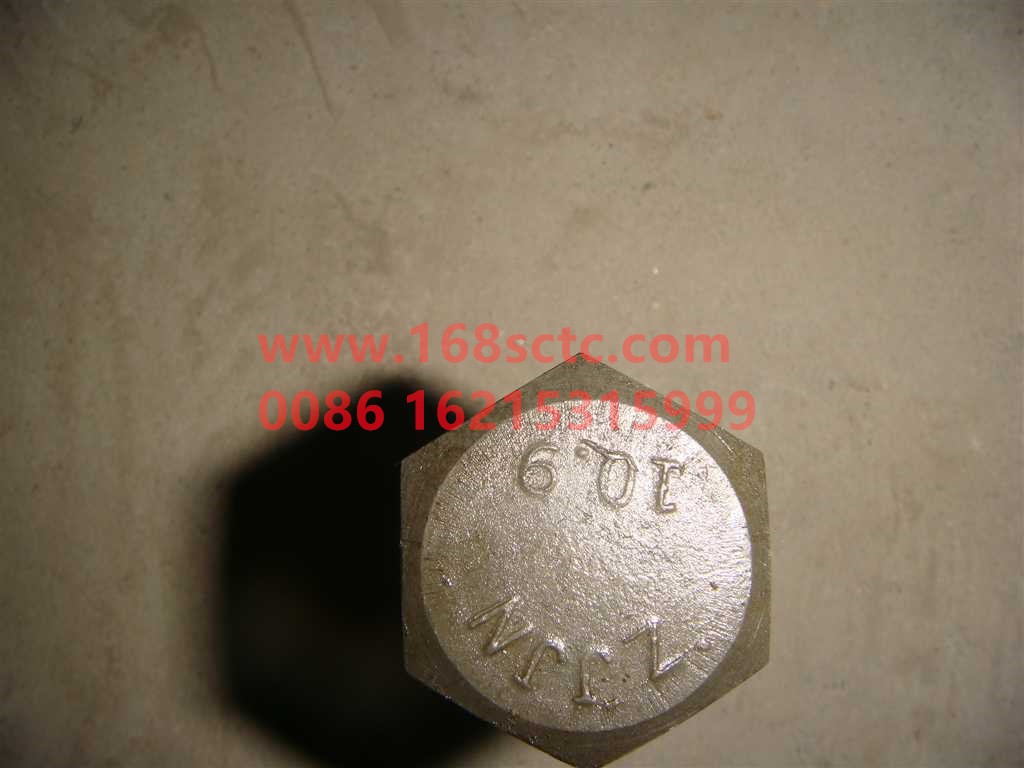 Q151B1860TF2-OTHERS-bolt-LiuJiaoTouLuoShuan