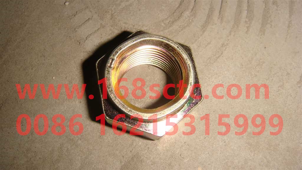 Self-locking nut VM20*1.5D009808ZN