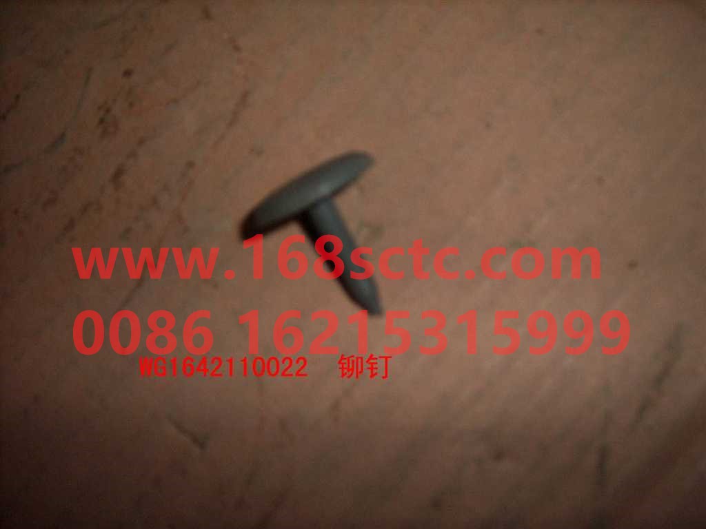 WG1642110022-SINOTRUK HOWO-Plastic rivets for A column fixing-HaoWo2013Kuan