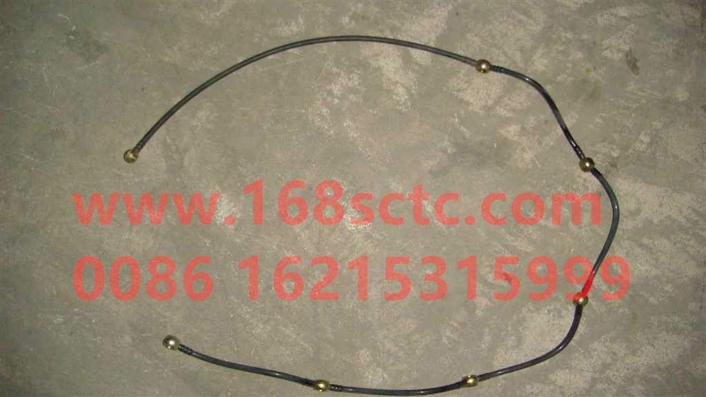 VG1096080310A